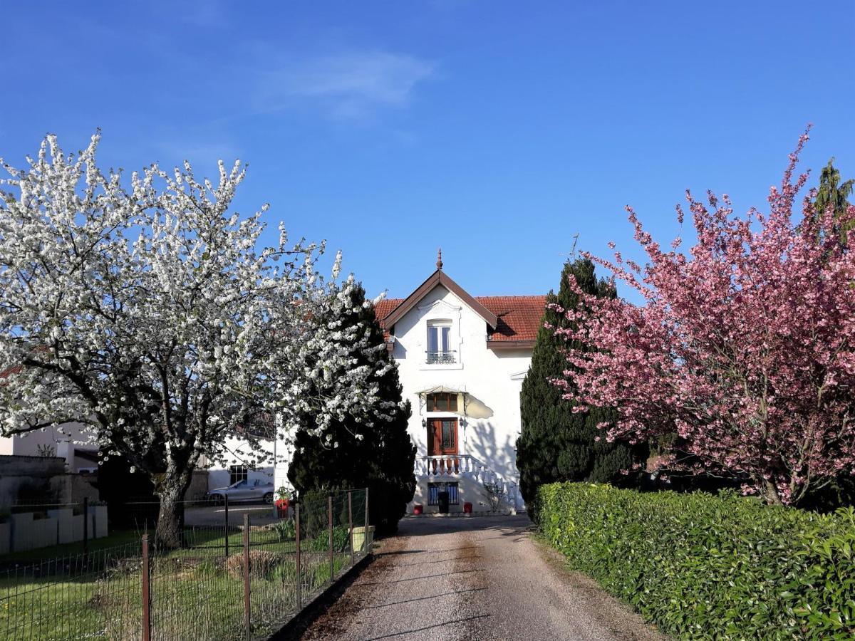 La Maison Mirabeau Verdun-sur-Meuse Ngoại thất bức ảnh